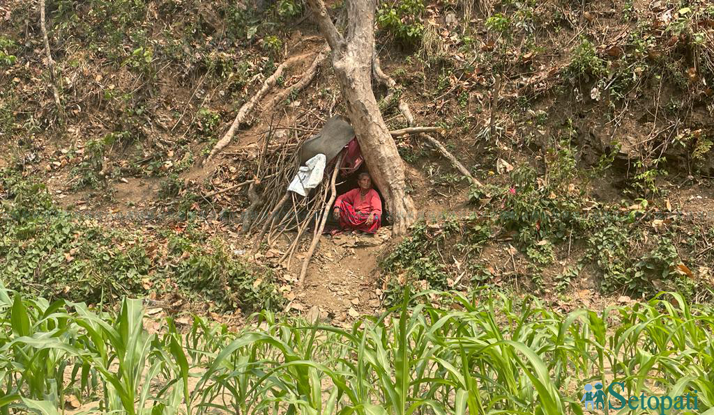 बाँदर लखेट्न बसेकी सेतीमाया चेपाङ। तस्बिरः राजेश घिमिरे/सेतोपाटी